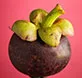 WELLBET体育APP